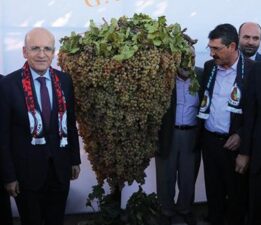 Bakan Şimşek, Batman’da ‘Bağ Bozumu ve Gastronomi Festivali’ne katıldı