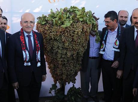 Bakan Şimşek, Batman’da ‘Bağ Bozumu ve Gastronomi Festivali’ne katıldı