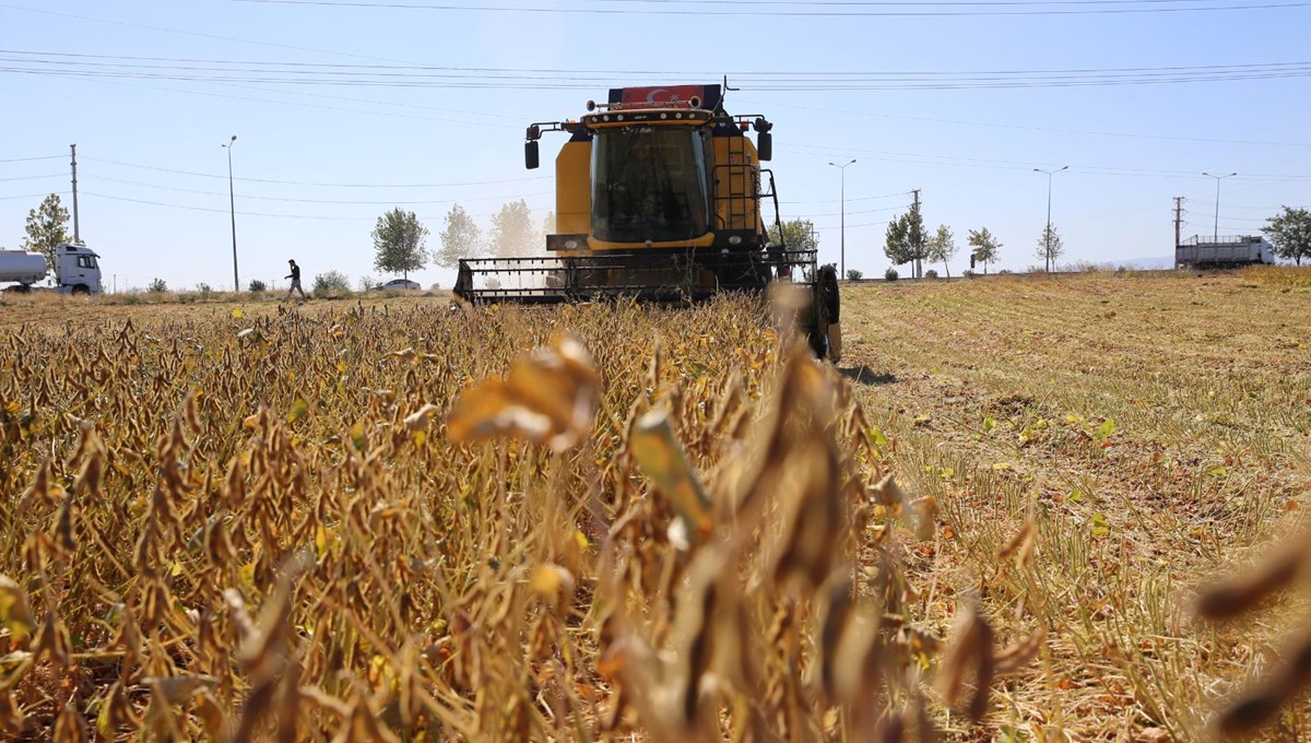 Diyarbakır’da soya ekim alanı üçe katlandı