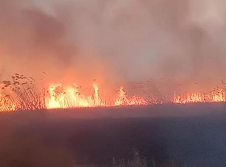 Eber Gölü’nde yangın: Müdahale sürüyor