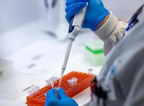 İlk kez oluyor! M çiçeğinin yeni varyantı klad 1b ortaya çıktı
