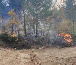 Osmaniye’de orman yangını: Müdahale sürüyor