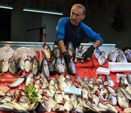 Tezgahlarda palamut şenliği: Balık fiyatları ne kadar? (Palamut, hamsi, levrek, çipura, mezgit…)