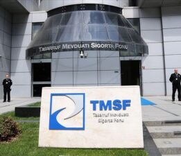 TMSF, üç şirkette pay satışı için ihale açtı