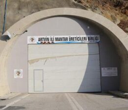 Atıl kalan tünel mantar üretim merkezi oldu
