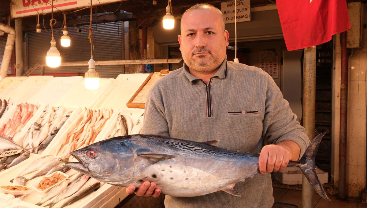 Bir metrelik torik balığı bin 500 liraya alıcı buldu