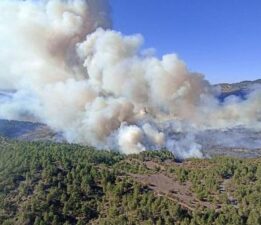 Bursa’nın 2 ilçesinde orman yangını! Müdahale ediliyor