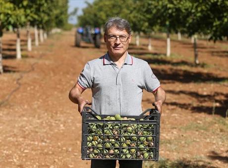 Gıda mühendisliğini bıraktı: Ceviz işleme tesisi kurdu