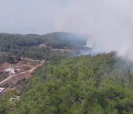 Hatay’da orman yangını: Müdahale sürüyor