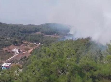 Hatay’da orman yangını: Müdahale sürüyor
