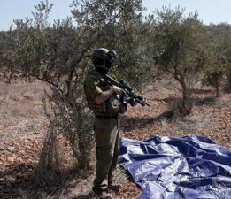 İsrail saldırıları, zeytin ve zeytinyağı üretimini de vurdu