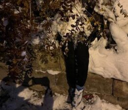 Kayseri’de bir garip olay! Görünce sinir krizi geçirdi, ekipler zor sakinleştirdi