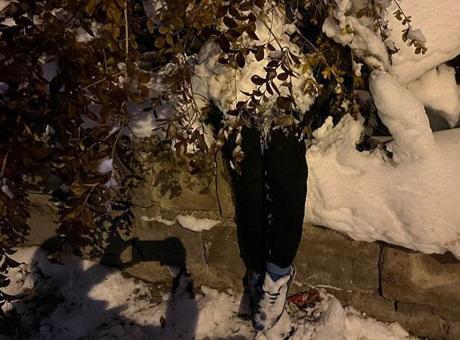 Kayseri’de bir garip olay! Görünce sinir krizi geçirdi, ekipler zor sakinleştirdi