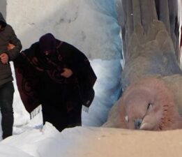 Kentte kar kalınlığı 80 cm’i buldu, kuşlar dondu: Böyle bir kış görmedik