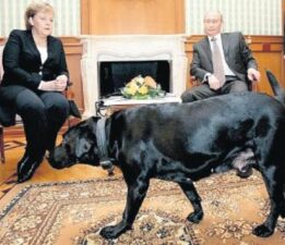 ‘Köpeklerden korktuğunu bilmiyordum’