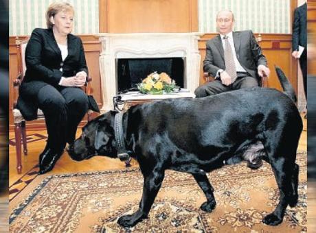 ‘Köpeklerden korktuğunu bilmiyordum’