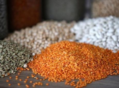 Türkiye’nin hububat ve bakliyat ihracatı 9,7 milyar dolar oldu