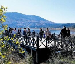 ‘Yakın’da popüler Bolu ve Sapanca