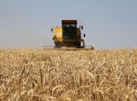 1,4 milyar lira tarımsal destekleme ödemesi yapılacak