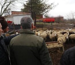 8 yıl önce devletten destek aldı! Kendi işinin patronu oldu