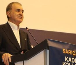 AK Parti’li Çelik: Türkiye, tarihin doğru tarafında durdu
