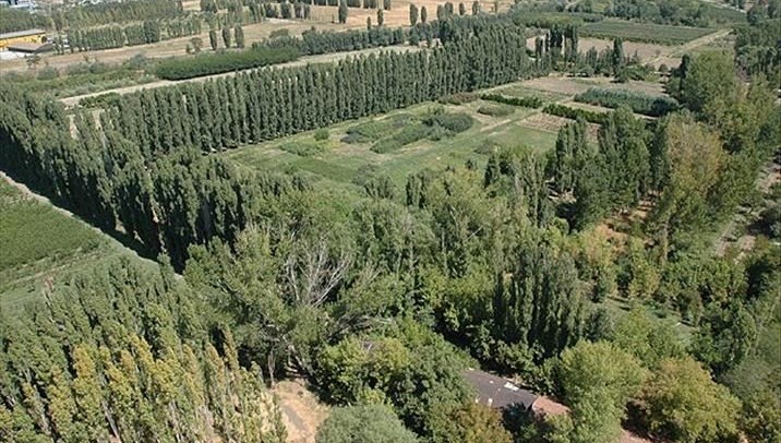 Atatürk Orman Çiftliği’nin park alanı kiralanacak