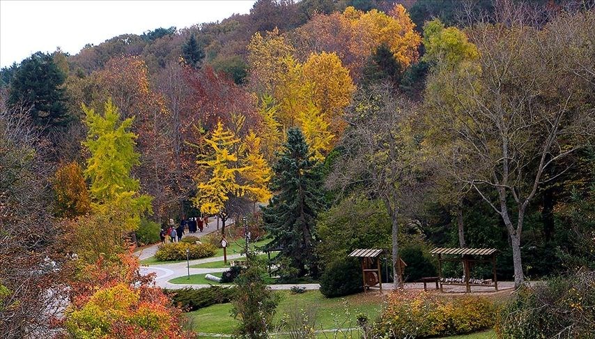 Belgrad Ormanı imara açılacak mı? Bakan Yumaklı’dan açıklama