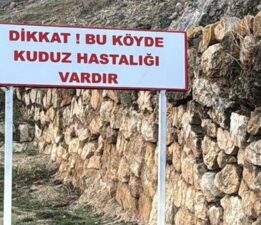 Bir köyde kuduz alarmı! Karantinaya alındı, 7 yaşındaki çocuk tedavi altında
