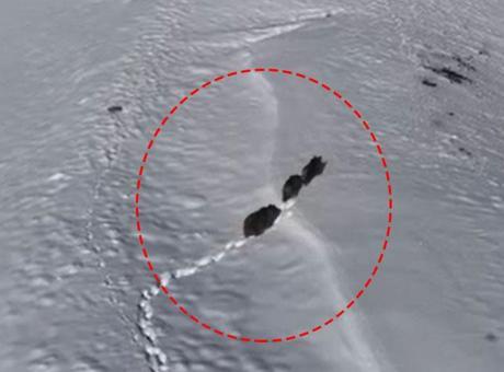 Drone çekiminde fark edildiler! Ormana girerek gözden kayboldular