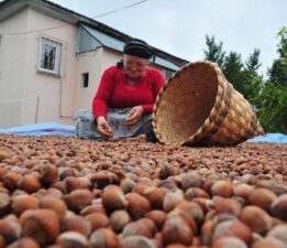 Fındık ihracatı geçen yılın iki katına yaklaştı