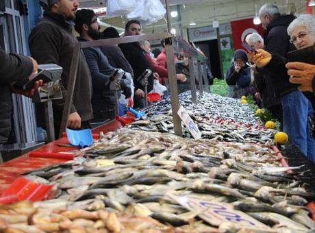 Hamsi bir haftada 50 lira birden düştü