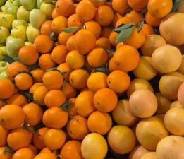 Maliye’den hallere sıkı takip!
