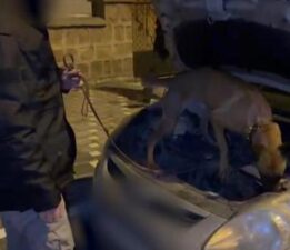 Şeytanın bile aklına gelmez! Uyuşturucuyu sakladığı yer polisleri bile şaşkına çevirdi