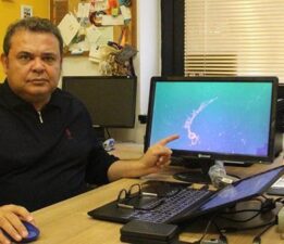 Tekirdağ ve İzmit Körfezi’nde tespit edildi! Marmara’da korkulan oldu: