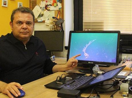 Tekirdağ ve İzmit Körfezi’nde tespit edildi! Marmara’da korkulan oldu: