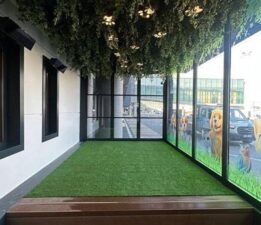 THY İstanbul Havalimanı’na Pet Lounge açtı