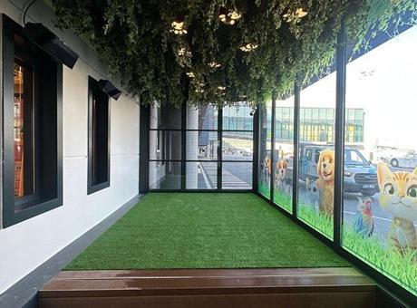 THY İstanbul Havalimanı’na Pet Lounge açtı