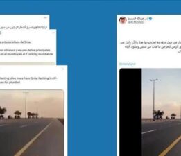 ‘Türkiye, Suriye’deki zeytin ağaçlarını söküyor’ iddiasına DMM’den açıklama