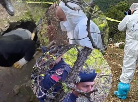 Vatikan duyurdu! Defineciler akın etti: İznik’in ölüm mağarası