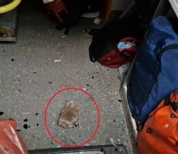 Zihinsel engelli genç 1 yılda 73 kez ambulanslara taşla saldırdı