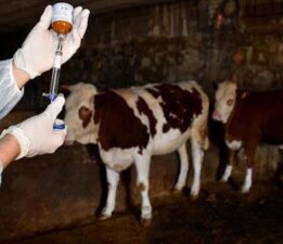 35 yıl sonra ilk kez görüldü! Ve yasaklandı