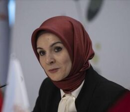 Bakan Göktaş: SED ödemesini hesaplara yatırdık