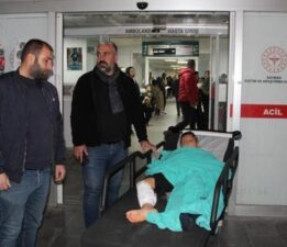 Batman’da dehşet! Küçük çocuğa piknikte sokak köpekleri saldırdı