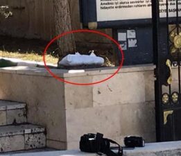 Bebek cesedi sandılar! Mezarlıkta beyaz torba paniği