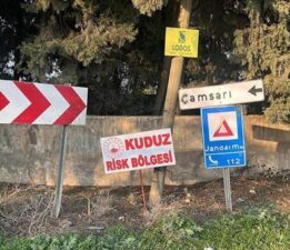 Bir kentte kuduz alarmı! 2 kişiyi ısırdı, mahalle ‘riskli alan’ ilan edildi