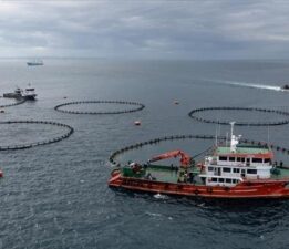 Doğu Karadeniz’in su ürünleri ihracatı arttı