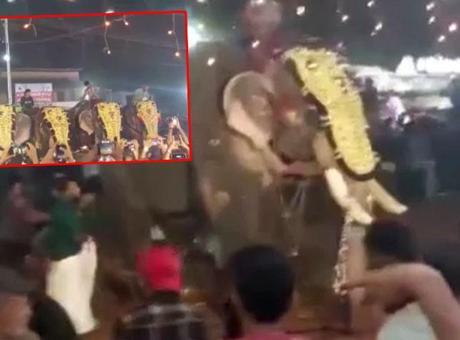 Festivalde korku dolu anlar! Fil insanlara saldırdı: 17 kişi yaralandı