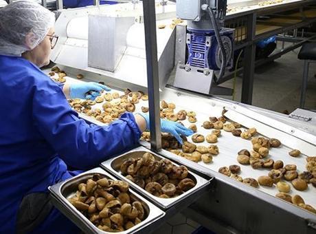 Güneydoğu Anadolu’nun kuru meyve ihracatı arttı
