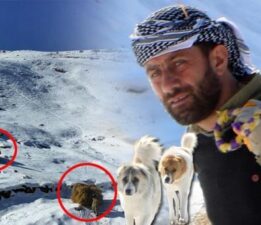 Hakkari dağlarında depolanıyor: Sadece yürüyerek gidilebiliyor, kızaklarla taşıyorlar