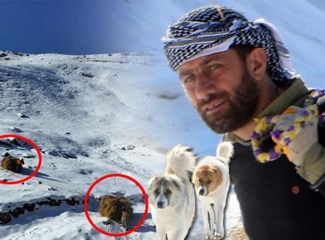 Hakkari dağlarında depolanıyor: Sadece yürüyerek gidilebiliyor, kızaklarla taşıyorlar